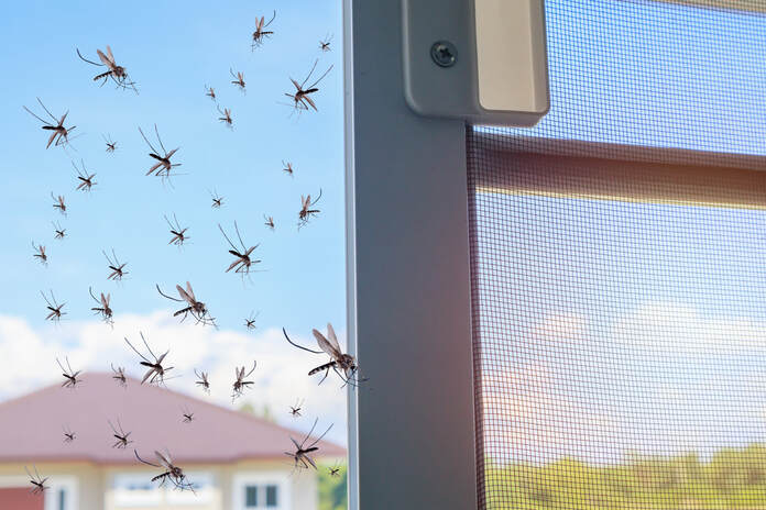 An image of Mosquitos, ticks and other common outdoor pests in Rehoboth, MA